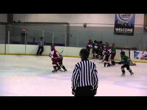 Red Wings championship game highlights June 08, 2014
