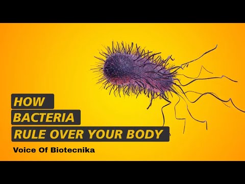 How Bacteria Rule Over Your Body | Voice of Biotecnika