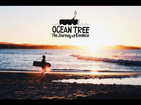 Riding 4'6 Alaia shaped by Tom Wegener