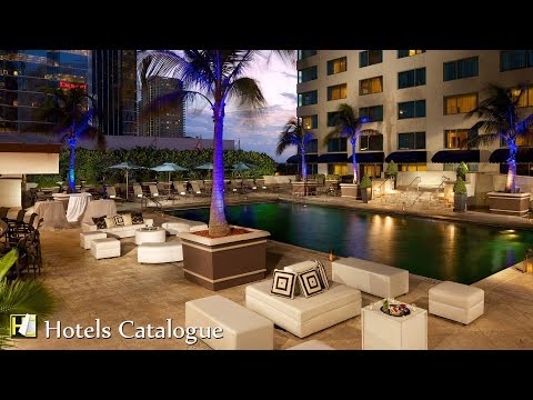 JW Marriott Miami Hotel Overview - Luxury Hotels in Miami FL - Hotels Full of Luxury Services