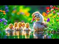Discover the Secret World of Wild Birds & Adorable Baby Animals in a Spring Paradise DEFAULT Thumbnail