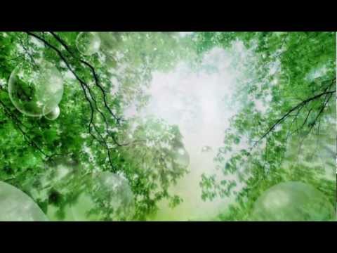 Nếu em còn đây - Kannan Nguyễn