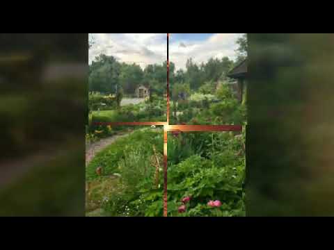 Viorel Ban - Doar o coliba