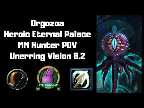 Orgozoa | Heroic Eternal Palace | MM Hunter POV Unerring Vision 8.2