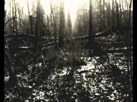 Hekte Zaren - Z drugiej strony siebie