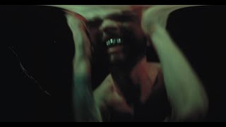 The Contradiction – No Trust In Humanity (Official Music Video)