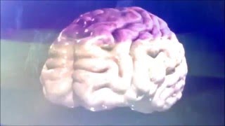 Hey Colossus - All The Humans (Are Losing Control)