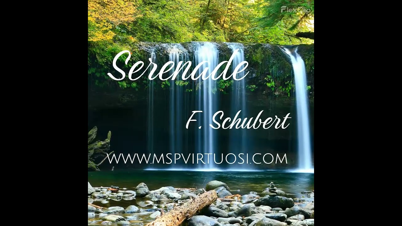 Promotional video thumbnail 3 for MSP Virtuosi