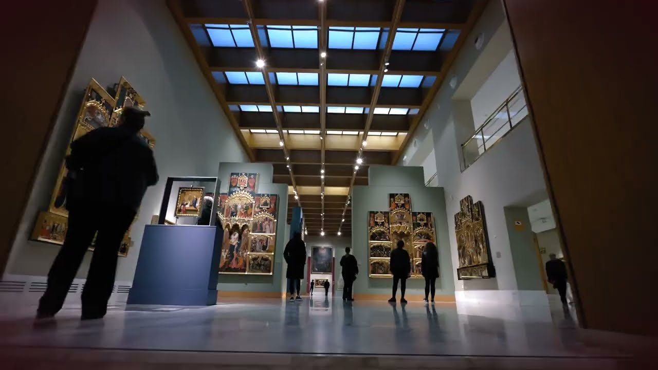 Discover a captivating peek of Museo de Bellas Artes de Valencia.