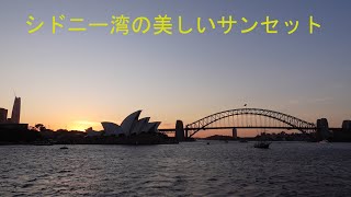シドニーハーバークルーズ　新企画のクルーズ　オーストラリア　キャプテンクッククルーズ　シドニー生活