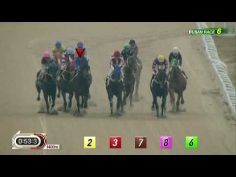 DWCC 2017 - Diferent Dimension Busan - November 13, 2016