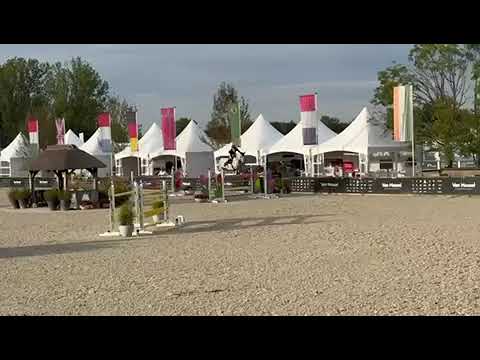 Thibeau Spits and Quick Step VV Champblanc - CSI3* Lier (1.45m jump-off)