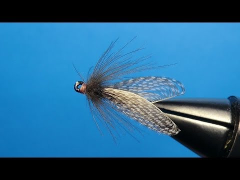 Marvel Sedge CDC