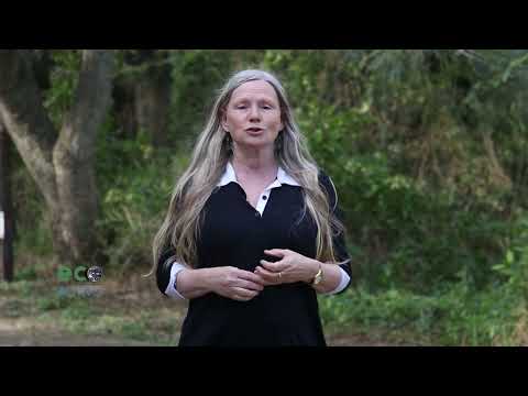 Los deportes y el medio ambiente - Pausa Eco activa