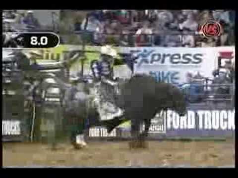 Ednei Caminhas Vs. Rockin Robin