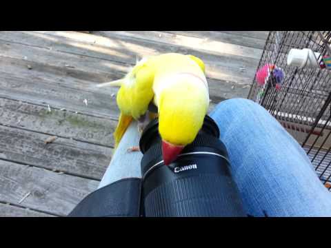 Britches! You're famous!