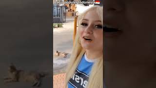 Download lagu Popular Indonesian Tahu Bulat Song | Bule Barbie | Funny mp3