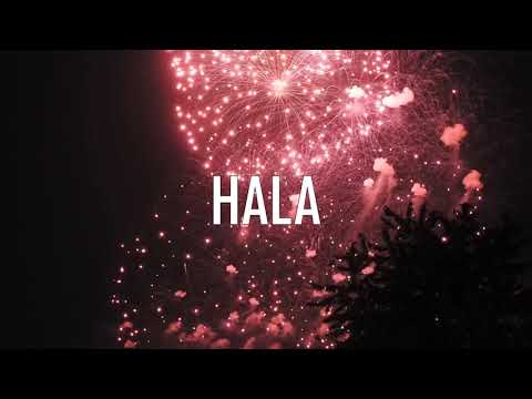 JOYEUX ANNIVERSAIRE HALA