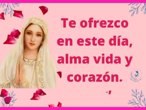 Bendita sea tu pureza