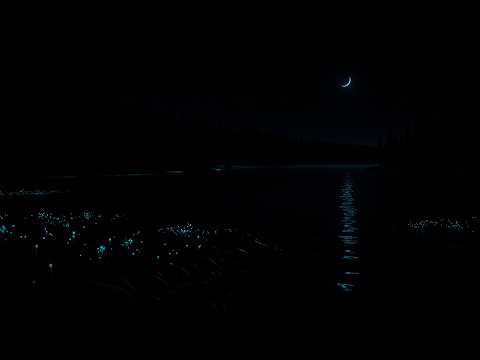 Sofortiger Tiefschlaf (OHNE WERBUNG) • Lindert emotionalen Schmerz, löst Spannungen • Ganzheitlic...