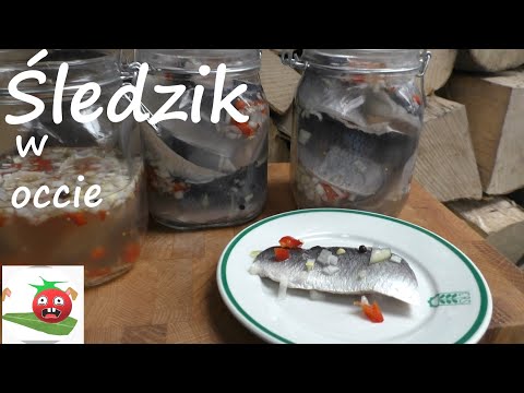 Śledź marynowany w occie