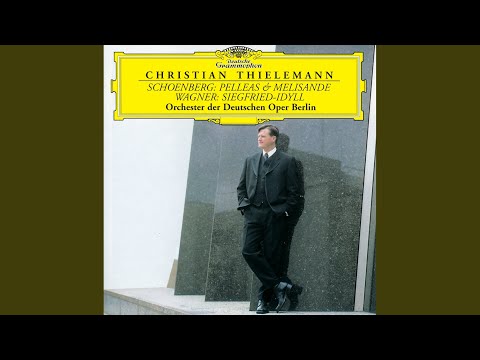 Wagner: Siegfried Idyll, WWV 103