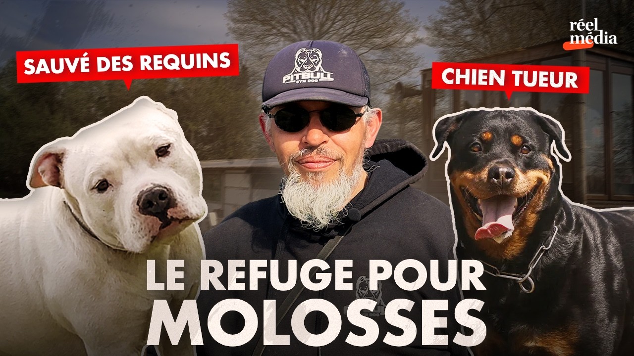 This former bank robber is giving 