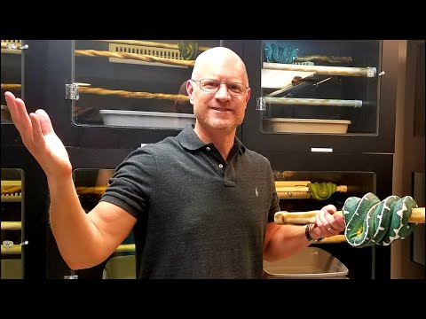 Full Collection Tour! (You asked for it!) Plus Available Babies , Savu Ovulation & Breeding Updates.