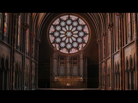 Interstellar 星际穿越 (Organ Version) | Main Theme & No Time for Caution | Wanying Lin 林婉莹