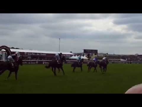 Pirx Marcel Boussac 2014 à Longchamp