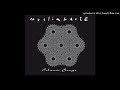 Muslimgauze - The is my palestine