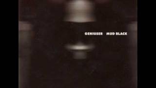 Geniuser - These Times