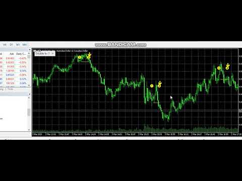 Video Double bottom pan