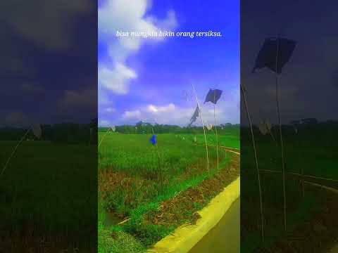 Yang Wajar Saja #trending #videoshort #nasehat #nasehathidup