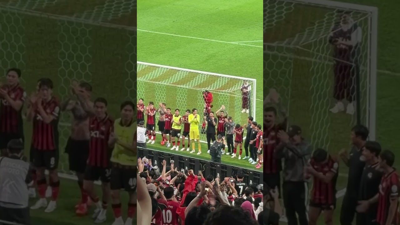 씨드 찾는 재미 #fcseoul #football #축구 #k리그1 #fc서울 #fc서울씨드