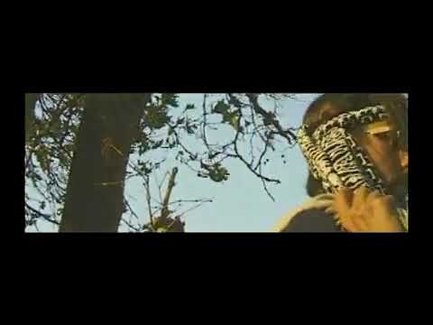 Aleš Brichta - Dívka s perlami ve vlasech