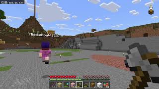 のんびりマイクラ