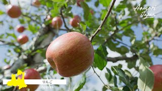動画3
