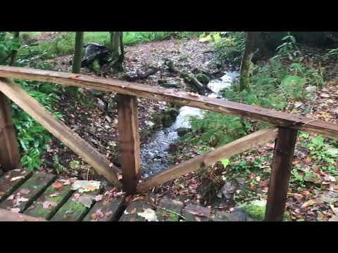 The shores of Loch Lomond ❤️