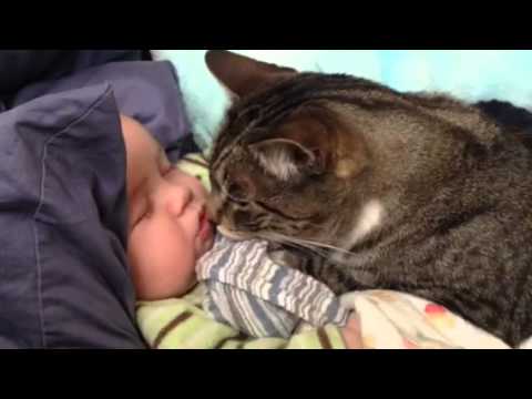 youtube image