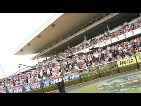 Highlights from 2015 Tooheys New Golden Slipper Day