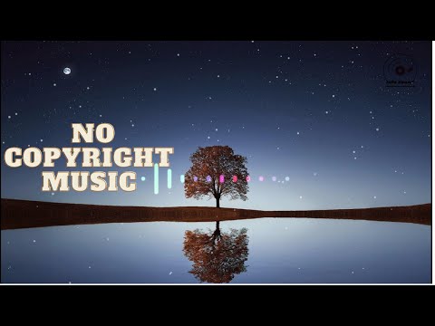 Best Youtube Song: Fredji - Happy Life  No Copyright Music (Info Sound)