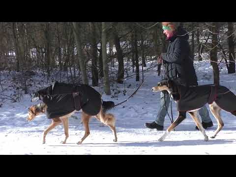 Elbe Wanderung Februar  2021