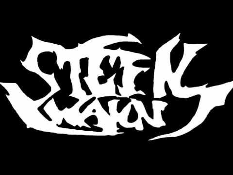 Skrillex - Levels (Stefn Wakn Remix)