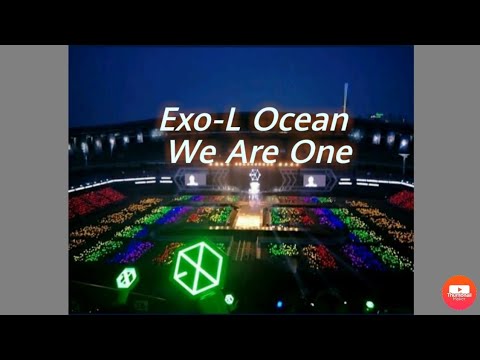 Exol fanchants
