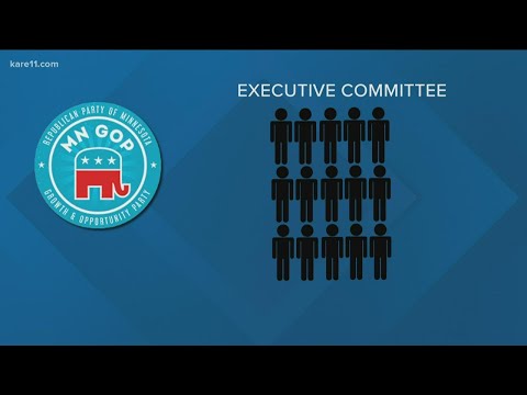 Turmoil within the MN GOP following Anton Lazzaro sex trafficking charges