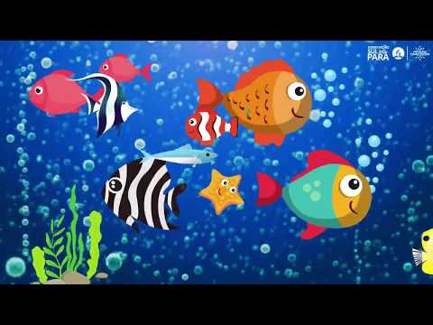 Cristo Fez os Peixes