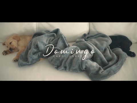 Carol Curry - Domingo