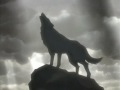 wolf's rain - kagayaita 