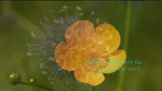 Rita Coolidge - I'd Rather Leave While I'm In Love (w/ lyrics)